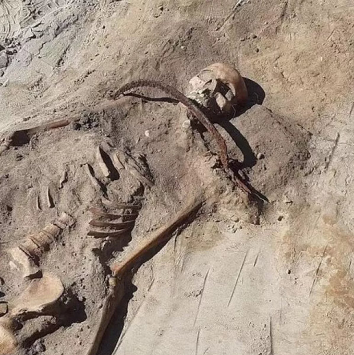 Skeleton thought to belong to 'female vampire' found in Poland #1