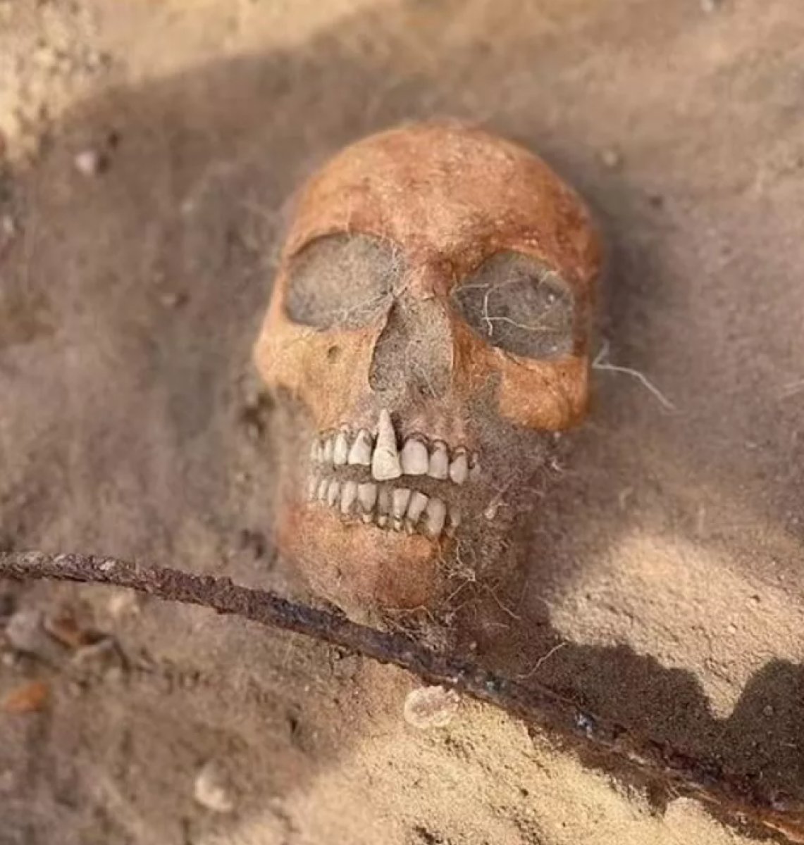 Skeleton thought to belong to 'female vampire' found in Poland #4