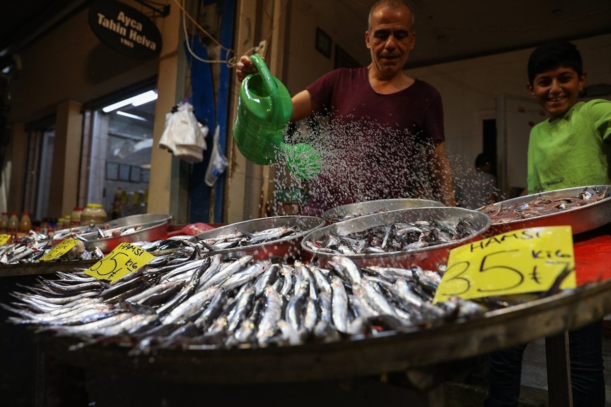 İzmirli balıkçılar av sezonundan umutlu #1