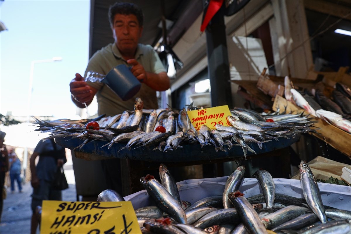 İzmirli balıkçılar av sezonundan umutlu #3