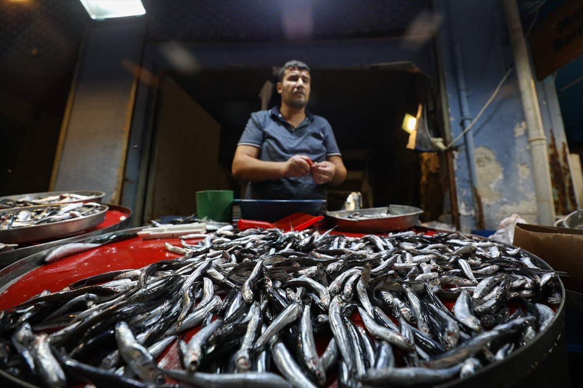 İzmirli balıkçılar av sezonundan umutlu #4
