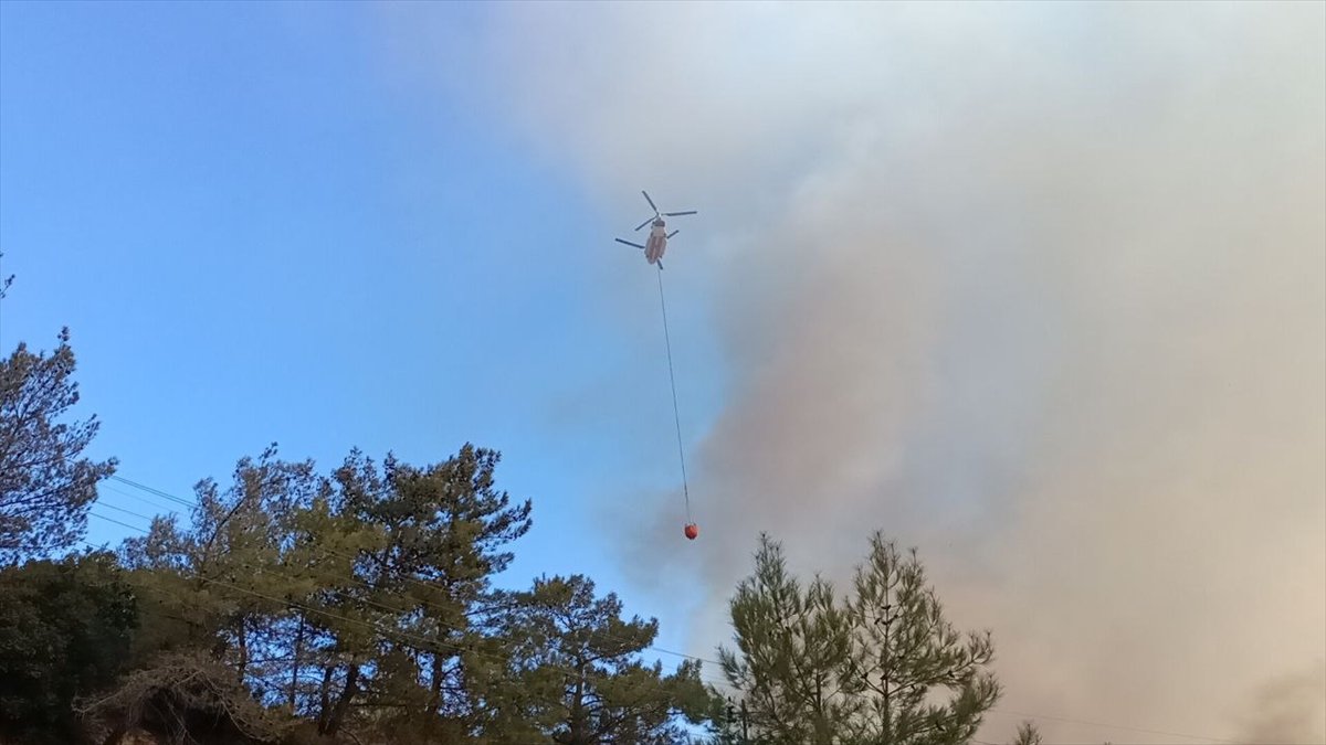 Mersin de orman yangını: 110 ev tahliye edildi #5