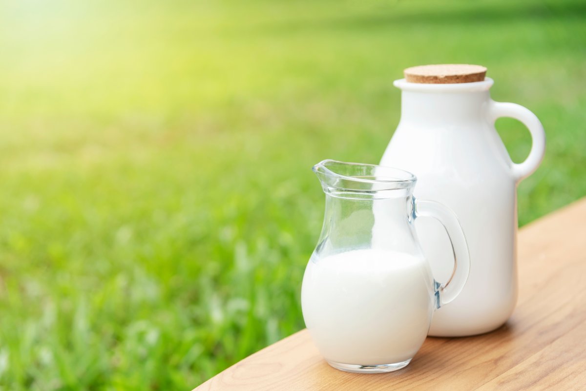 Süt tüketimi kolesterolü artırmıyor #1
