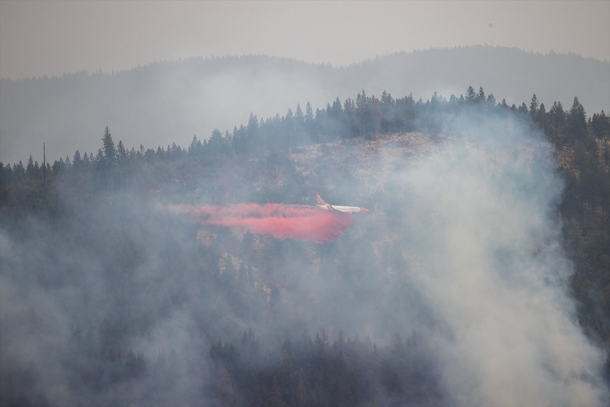 Kaliforniya da orman yangınları sürüyor: 11 bini aşkın tahliye #9