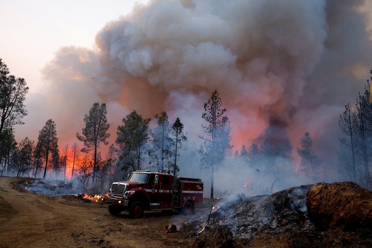 Kaliforniya da orman yangınları sürüyor: 11 bini aşkın tahliye #6