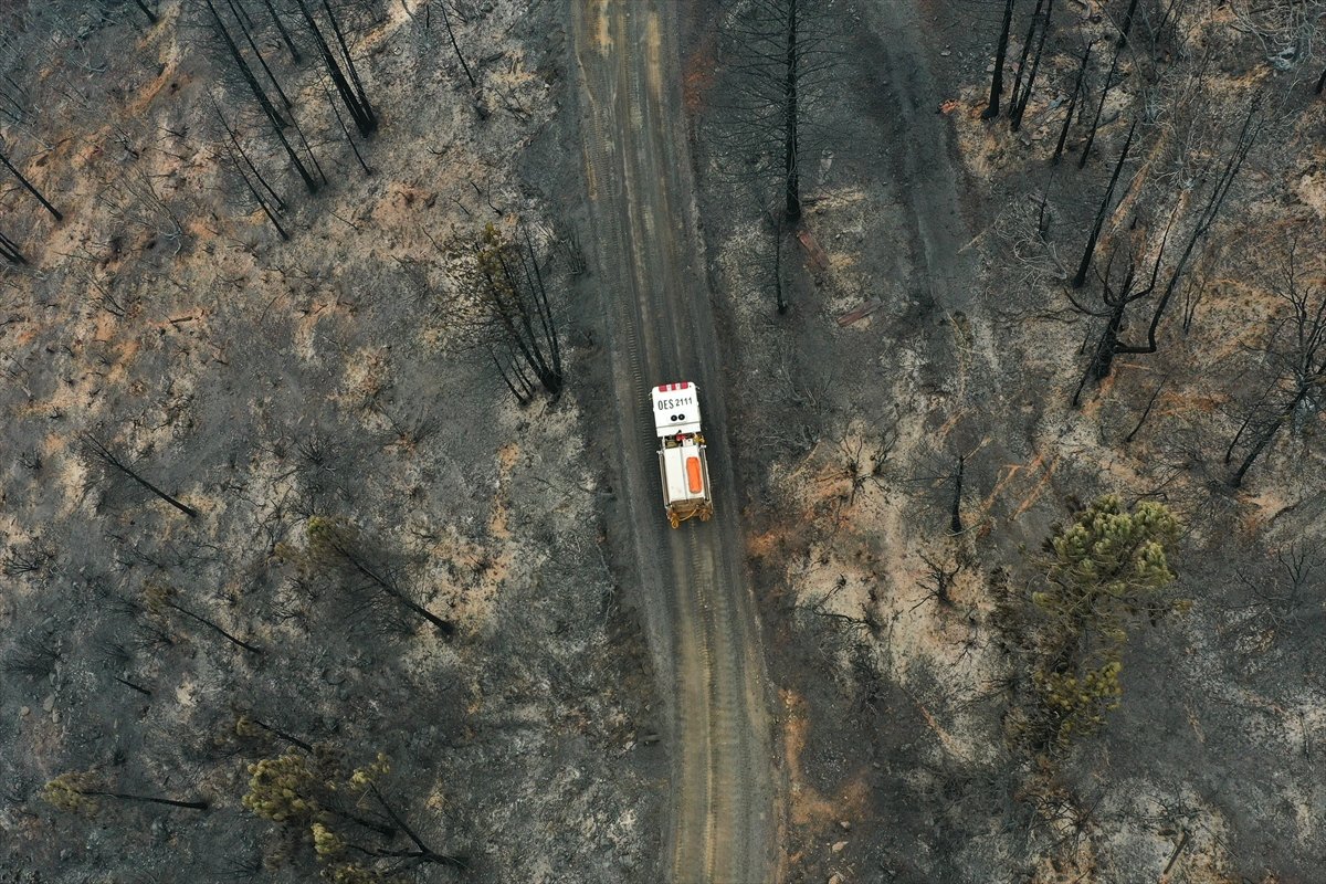 Kaliforniya da orman yangınları sürüyor: 11 bini aşkın tahliye #14