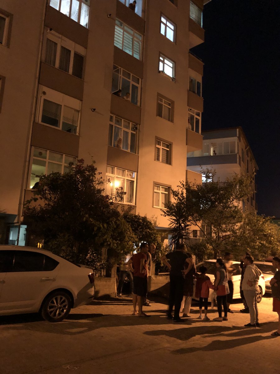 s_3493.jpg
