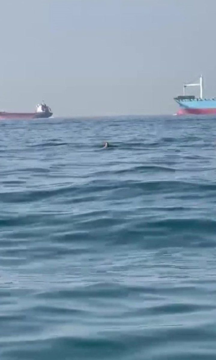 deniz_1349.jpg