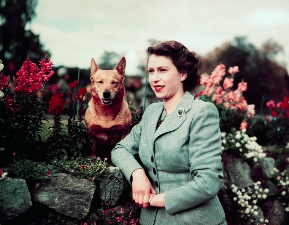 elizabeth-kopek_2133.jpg