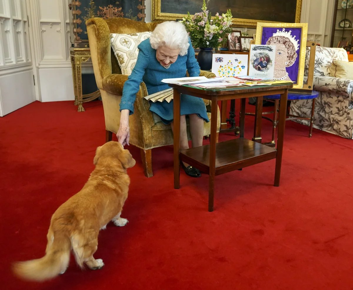 elizabeth-kopek_8169.jpg
