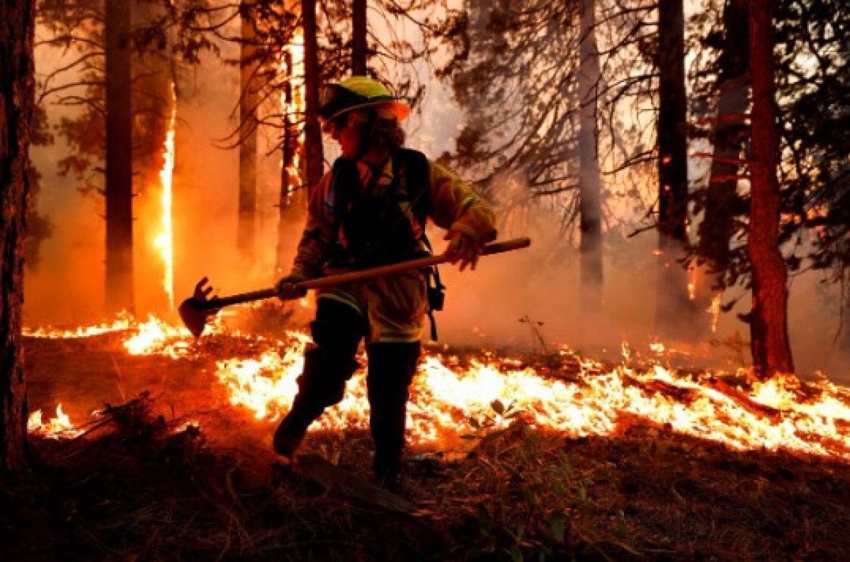 Kaliforniya da orman yangınları sürüyor: 11 bini aşkın tahliye #1