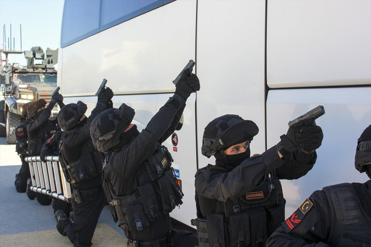 Entraînement intensif pour les chiens de gendarmerie n°2