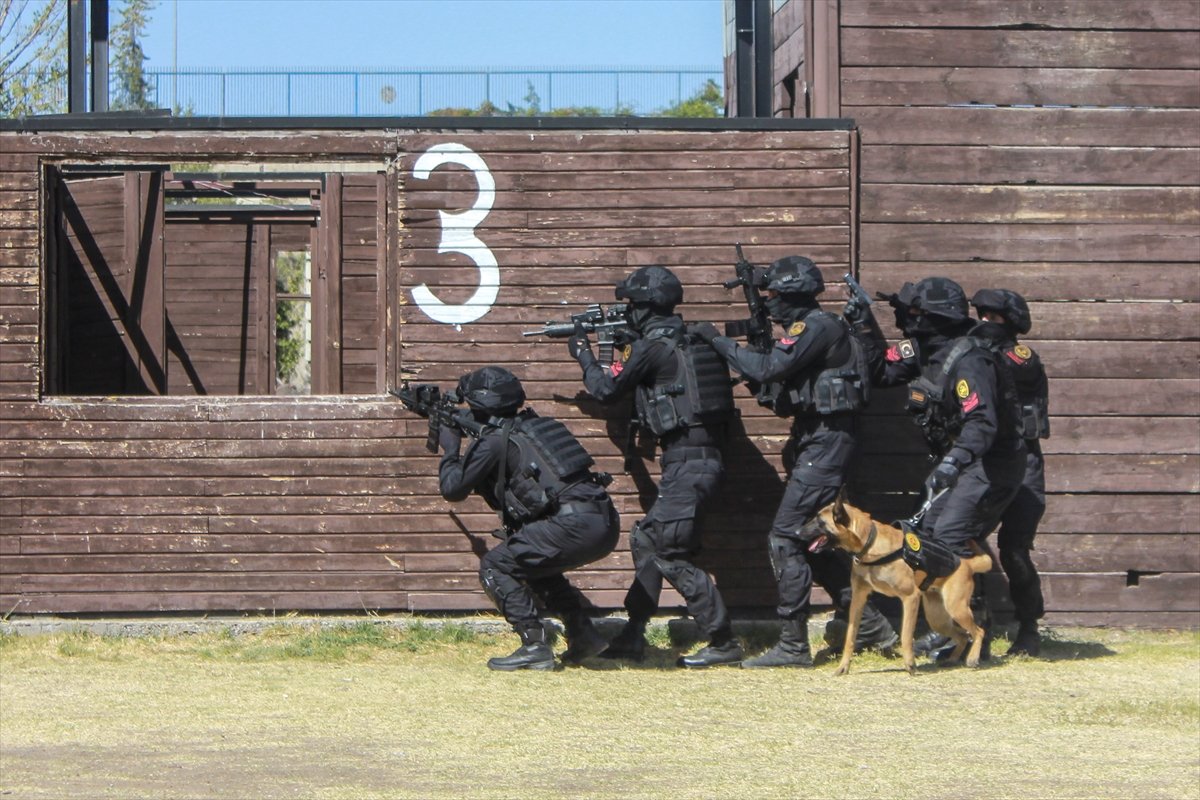 Entraînement intensif des chiens de gendarmerie #8