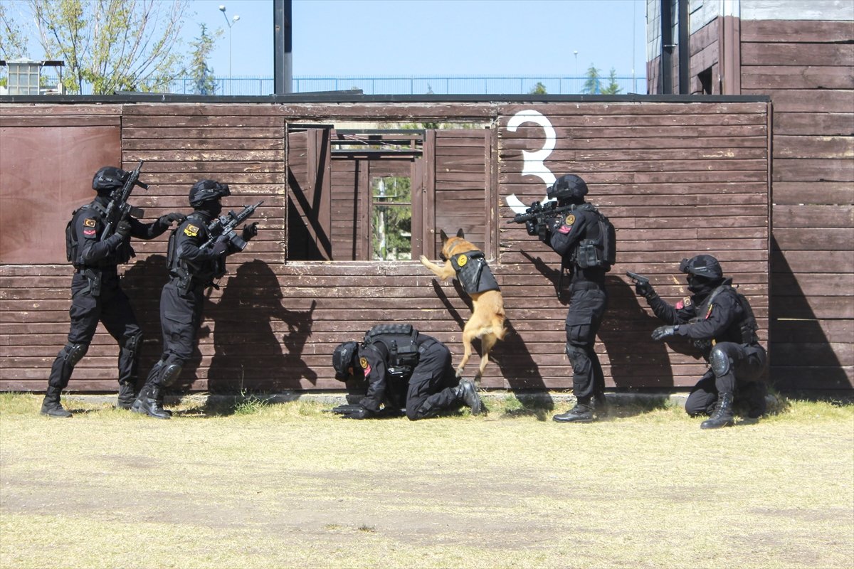 Entraînement intensif des chiens de gendarmerie #9