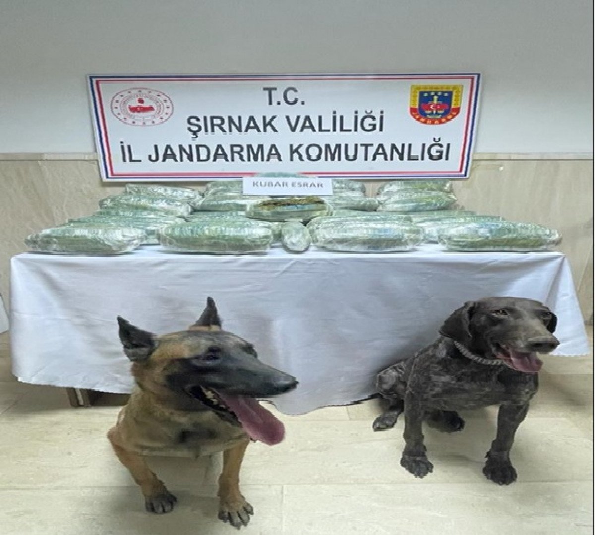 Şırnak'ta kaçakçılık operasyonu: 37 şüpheli yakalandı  #6