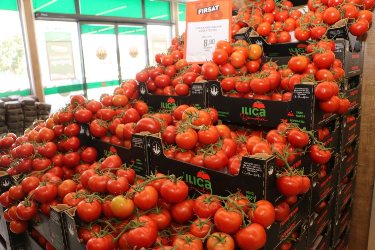 Erzurum iddialı: Türkiye’nin en ucuz salkım domatesi Aziziye’de #1