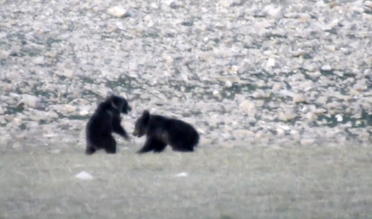 Munzur Dağları ndan belgesel tadında görüntüler #1