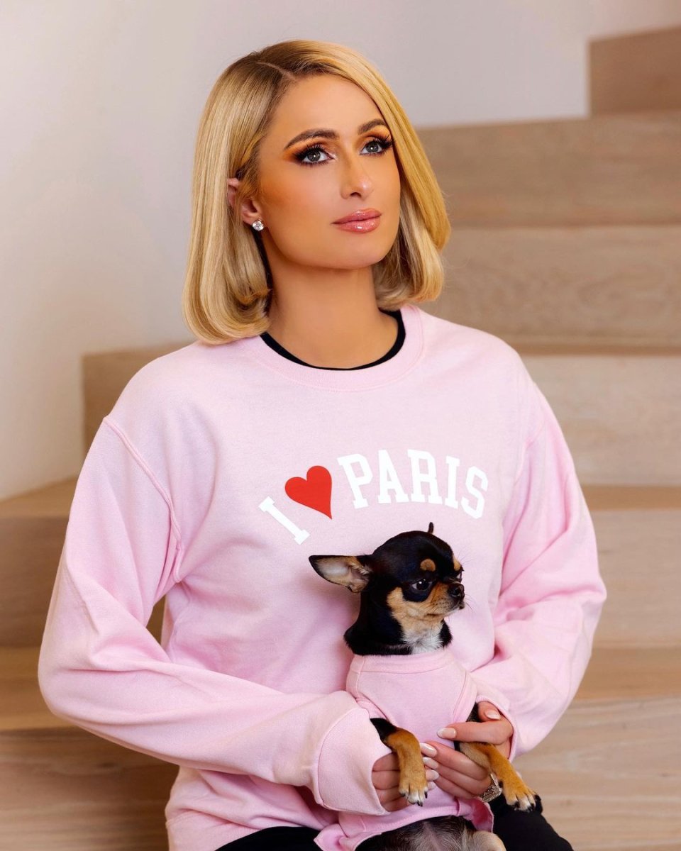Paris Hilton, köpeğini bulana ödül verecek #2