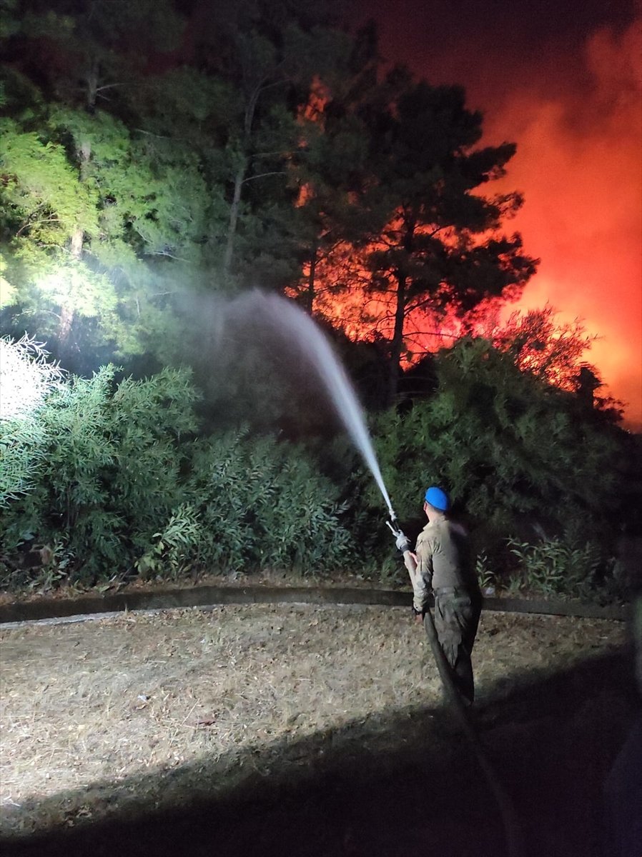 Marmaris teki orman yangını, 19 saat sonra kontrol altında #5