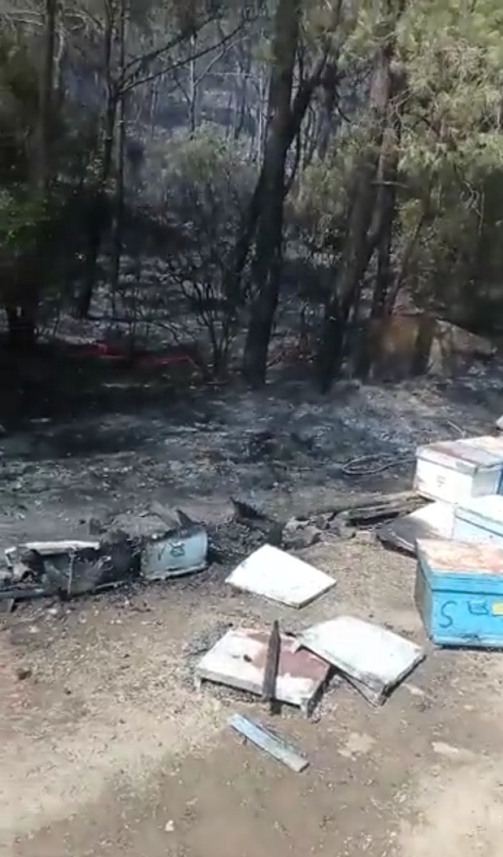 Ümit Özdağ ın Marmaris i sığınmacılar yaktı yalanı #2