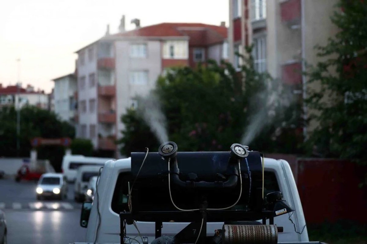 İstanbul da  Aedes  sineği alarmı #8