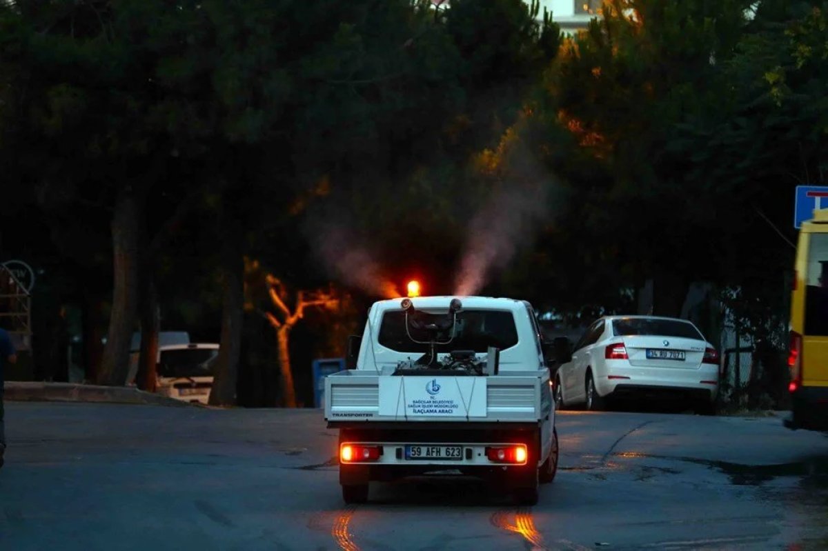 İstanbul da  Aedes  sineği alarmı #7
