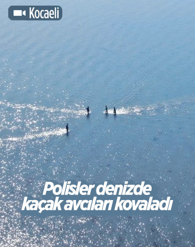 Kocaeli'de denizin üstünde yürüyen polisler, kaçak avcıları tek tek yakaladı