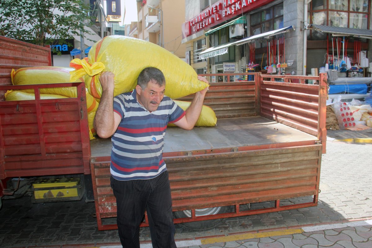 Giresun’da serbest piyasada fındık fiyatı düşüşe başladı #1
