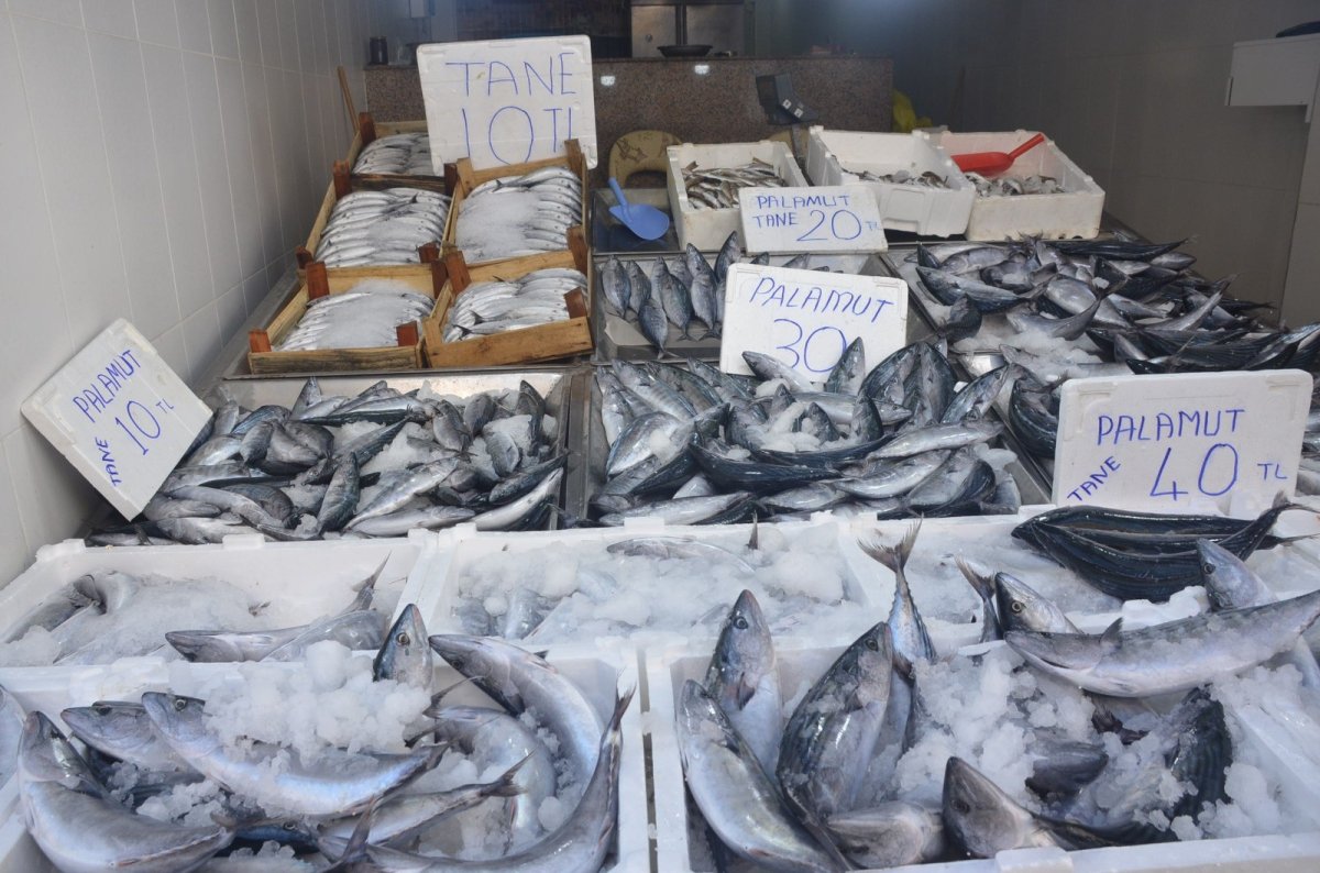 Kilosu 10 TL ye düştü #2