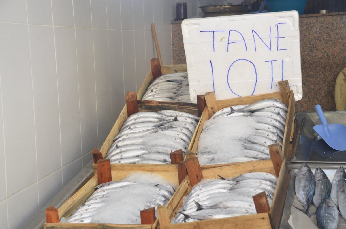 Kilosu 10 TL ye düştü #1