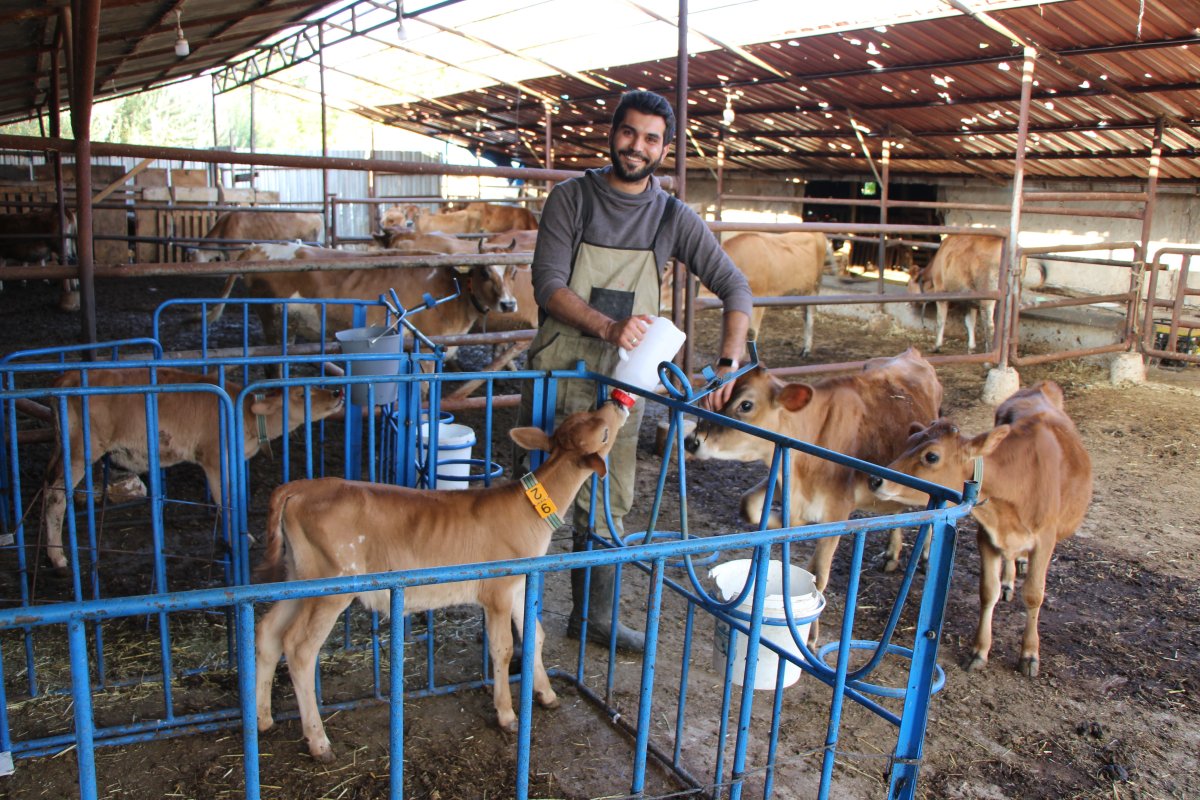 İzmir de üniversite okudu, Amasya’daki köyüne döndü, süt çiftliği kurdu #11