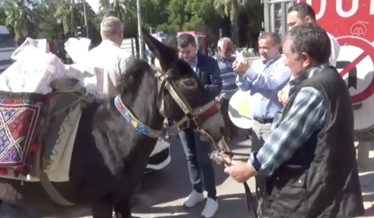 Güreş ağası, 1 milyon 17 bin TL ağalık parasını katırla getirdi #1