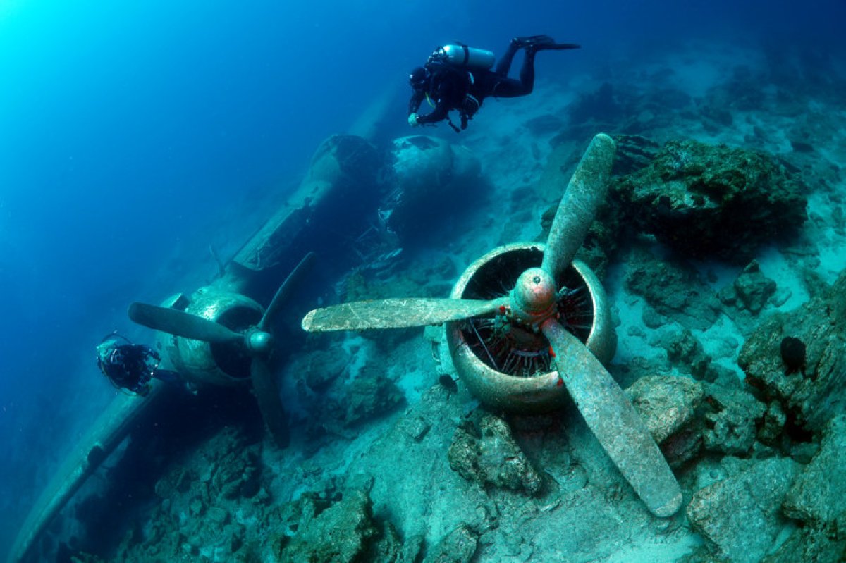 Bodrum'un su altı dünyasındaki tarihi ve doğal yaşamı