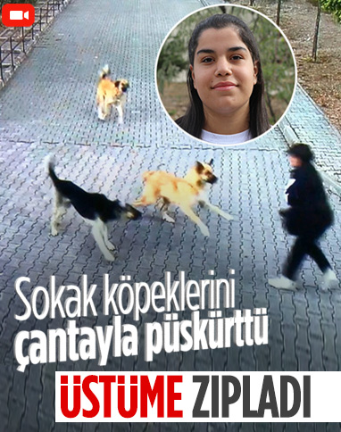 Ankara’da lise öğrencisi köpeklerden zor kurtuldu: O anı anlattı