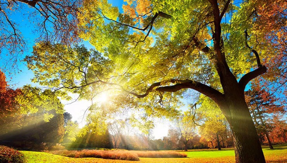 Pastırma sıcakları ne zaman geliyor 2022? Pastırma yazı bitti mi? #1