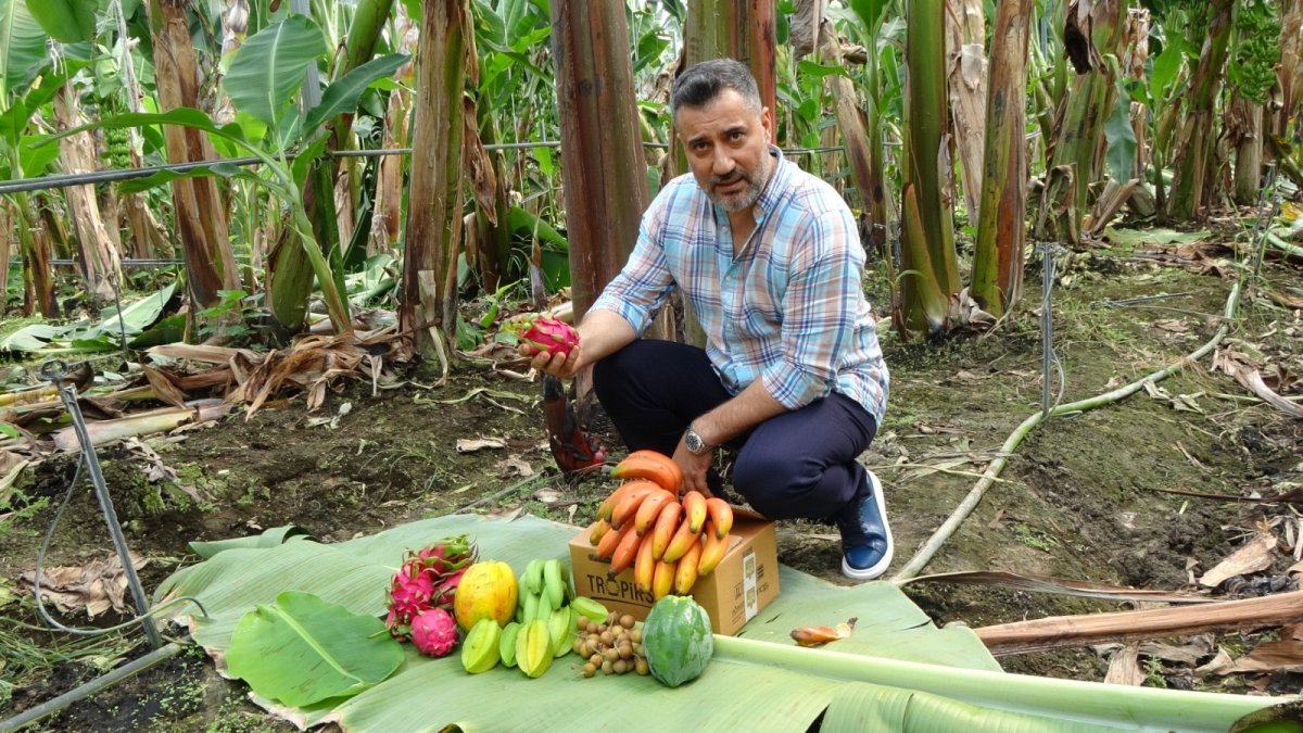 Kırmızı muzun Manavgat’ta ilk hasadı yapıldı #2