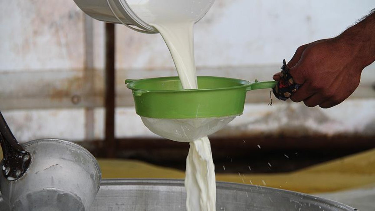 Vahit Kirişci: Çiğ süt destekleme ödemesi litre başına en az 9 lira oldu #1