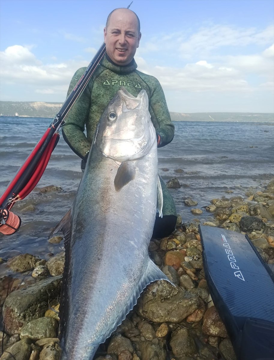Çanakkale de zıpkınla 50 kilogramlık dev akya yakalandı #1