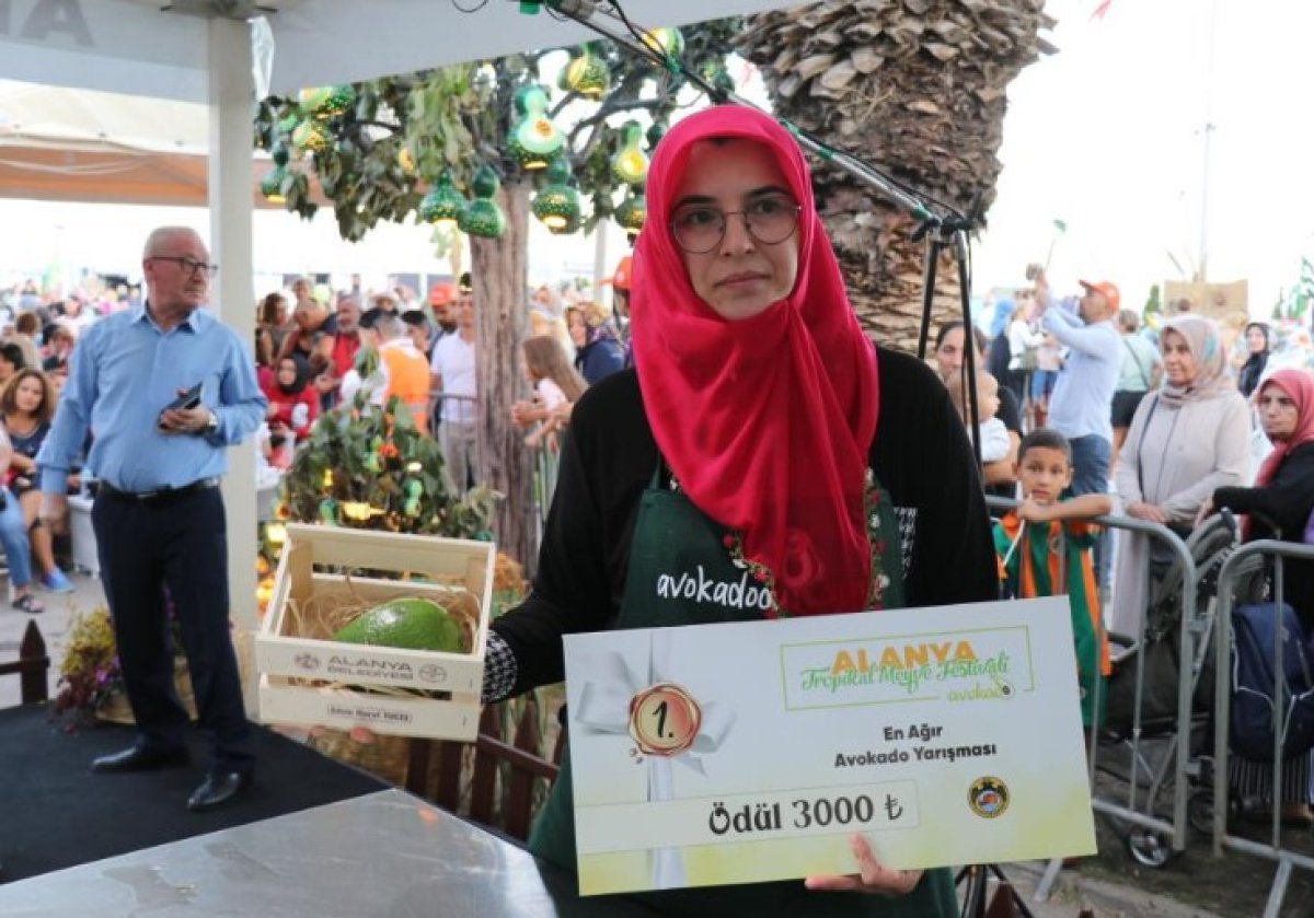 Alanya nın en ağır avokadosu seçildi #5