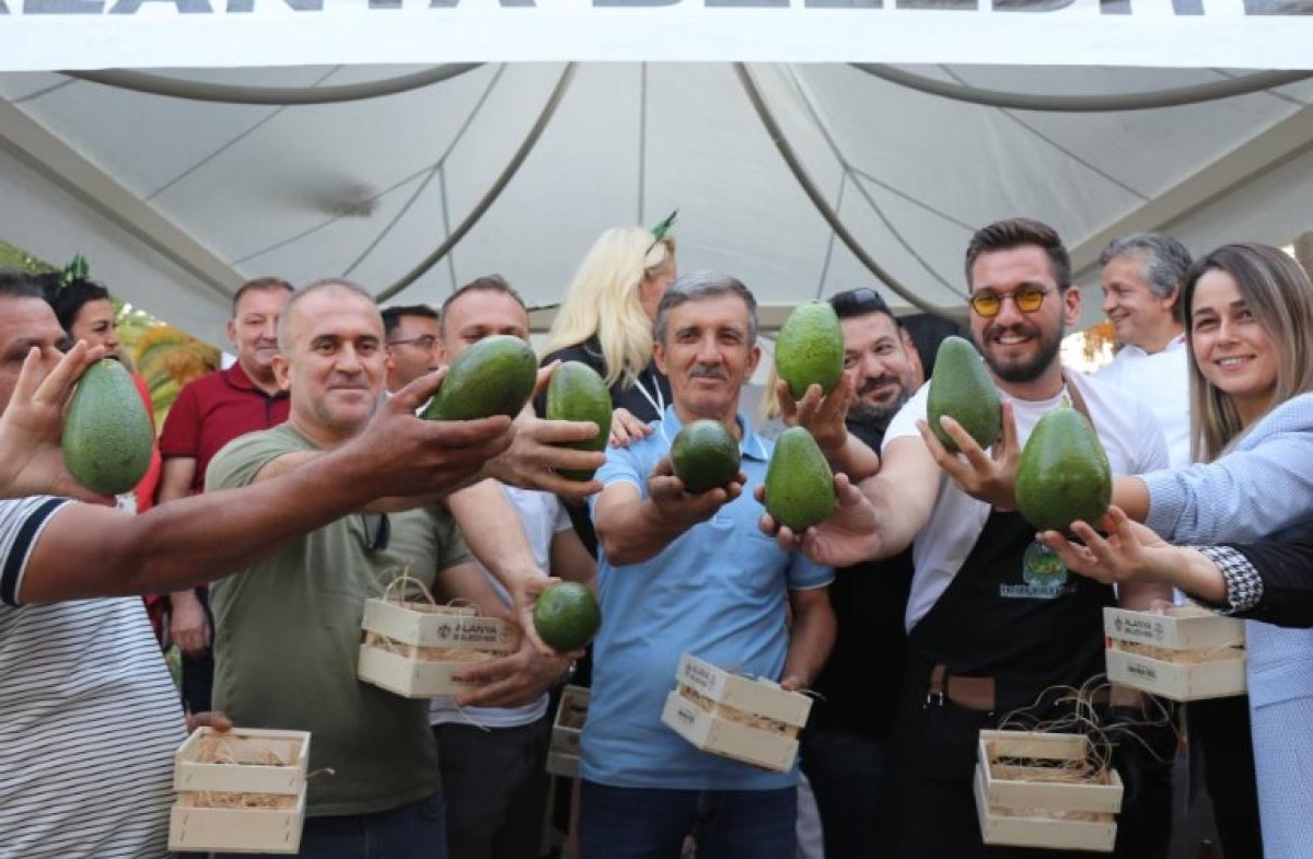 Alanya nın en ağır avokadosu seçildi #4