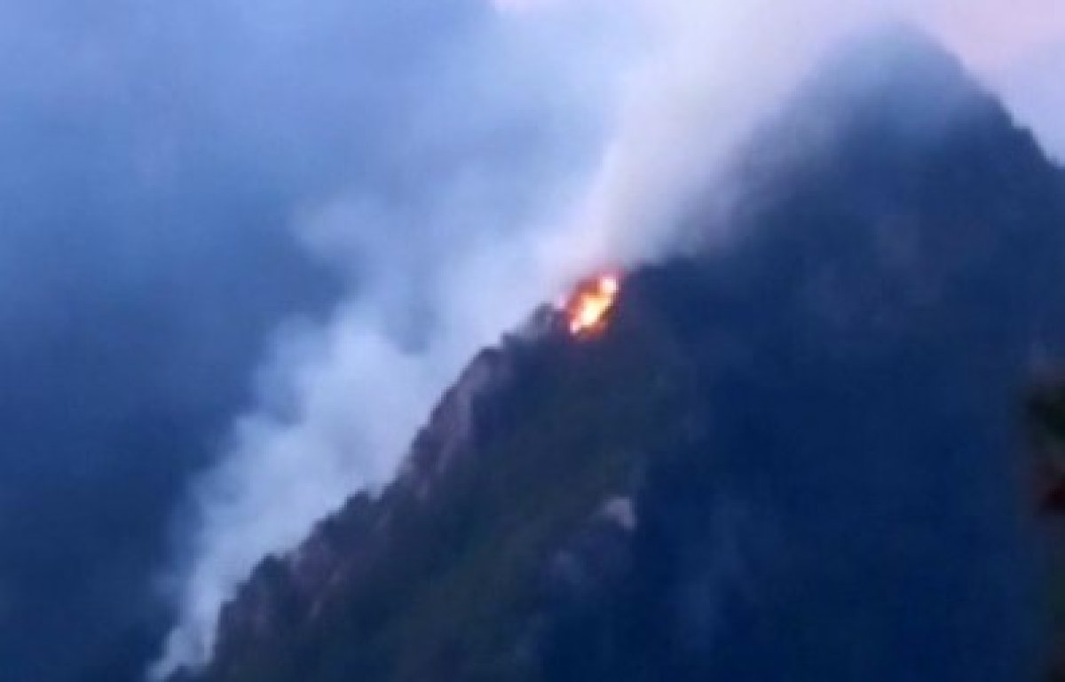 Osmaniye’de ormanlık alanda yangın #1