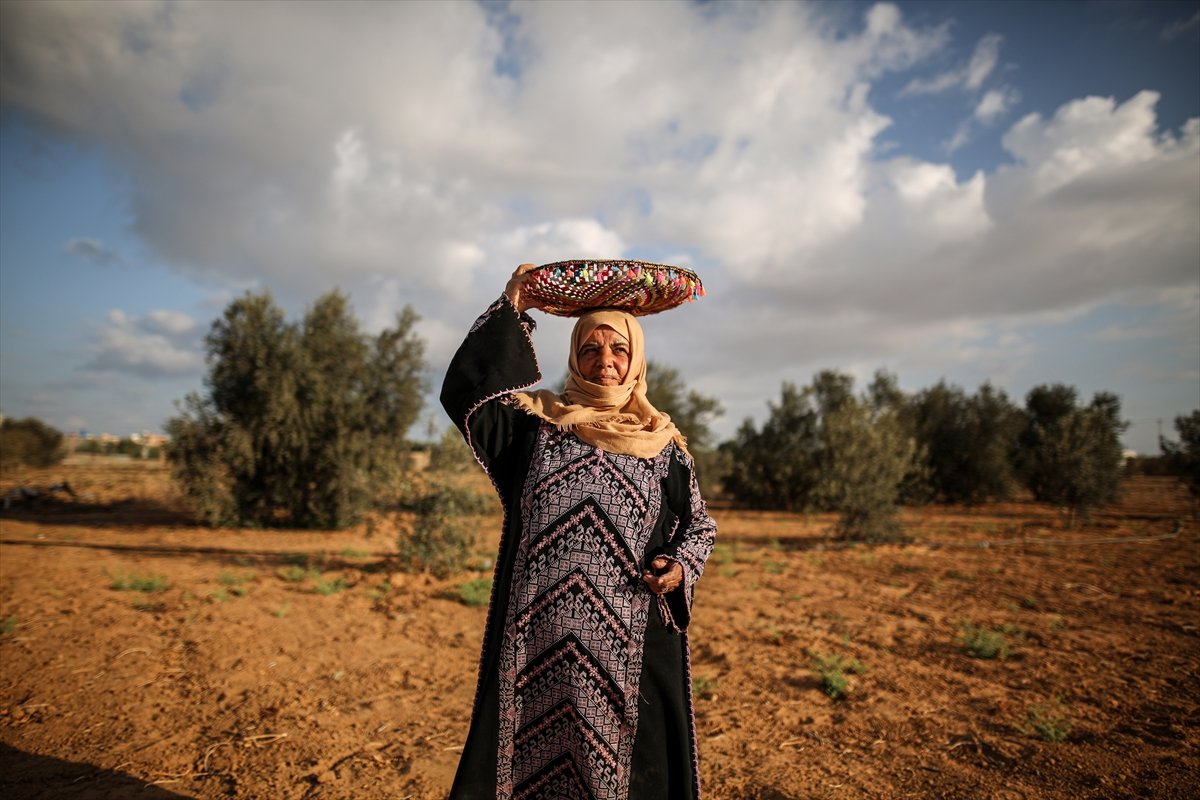 Filistinli kadın çiftçilerin işgal altındaki zorlu yaşamı #3