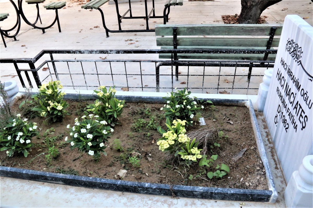 Antalya da ölmeden mezar yaptıran adam ziyarete gidiyor #3