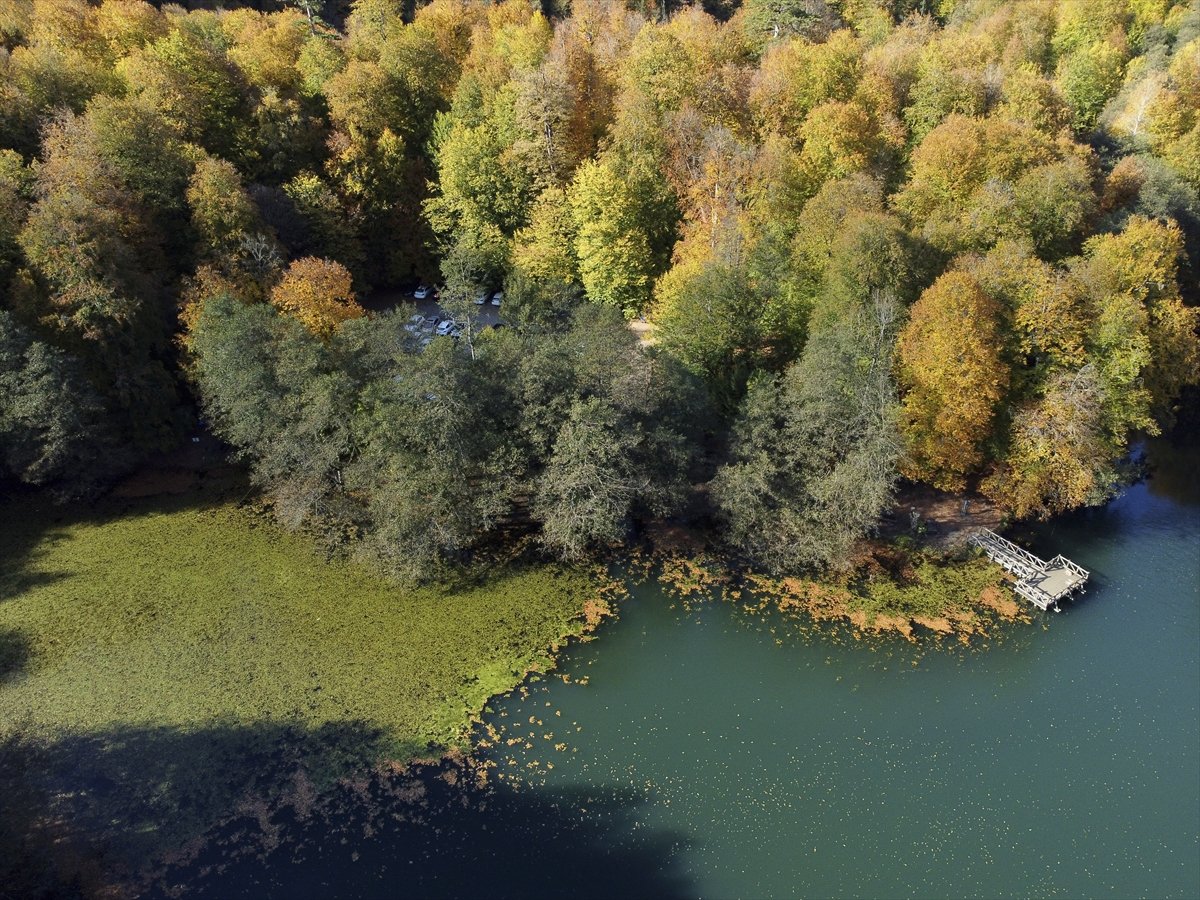 Yedigöller Milli Parkı renkli manzaralar oluşturdu #6