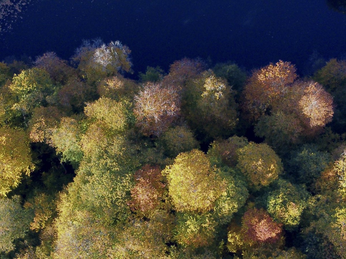 Yedigöller Milli Parkı renkli manzaralar oluşturdu #2