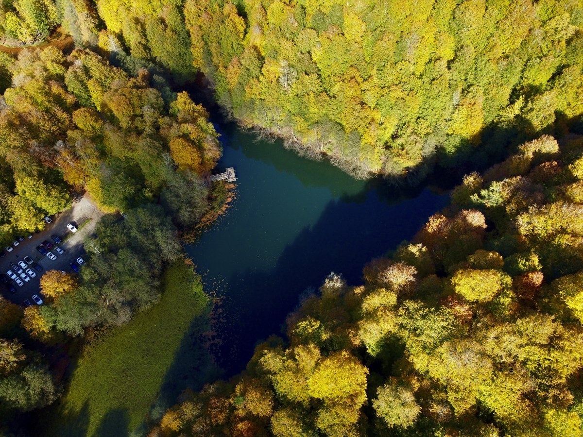 Yedigöller Milli Parkı renkli manzaralar oluşturdu #1