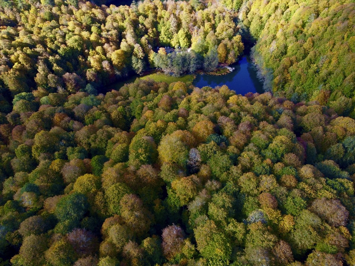 Yedigöller Milli Parkı renkli manzaralar oluşturdu #8