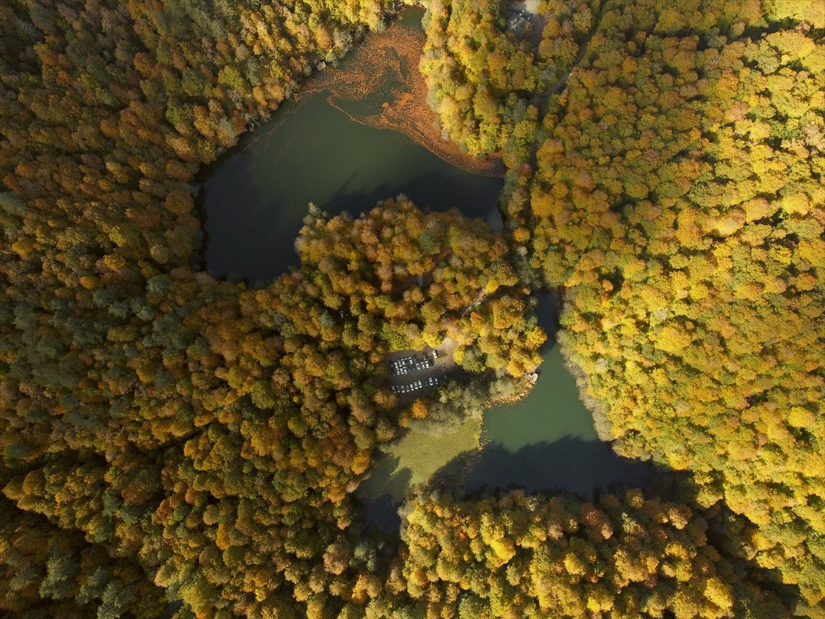 Yedigöller Milli Parkı renkli manzaralar oluşturdu #9