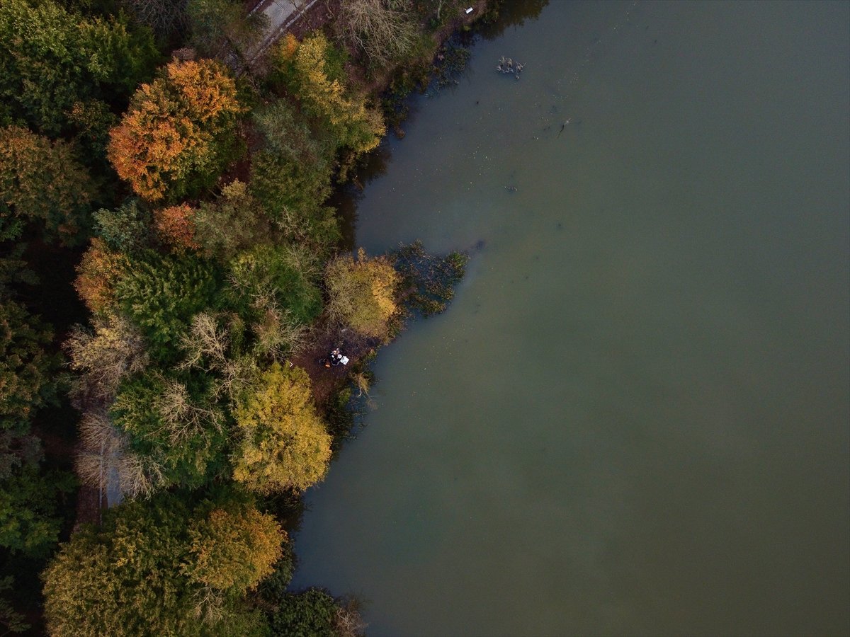 Kurugöl Tabiat Parkı nda doğa görsel şölen sunuyor #5