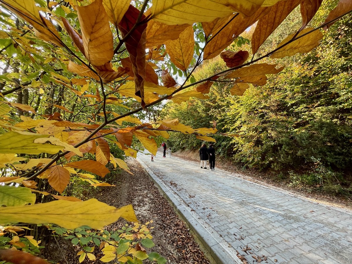 Kurugöl Tabiat Parkı nda doğa görsel şölen sunuyor #1